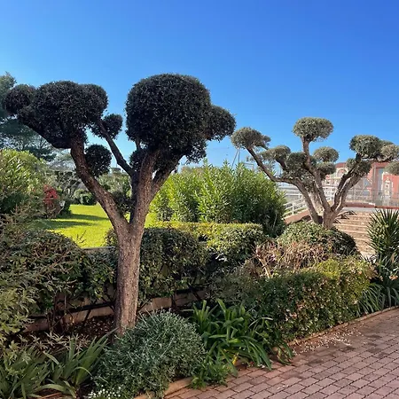 Un Cocon Aux Marquises - Joli T2 Degagee Sud- Ouest Piscine Tennis Apartamento